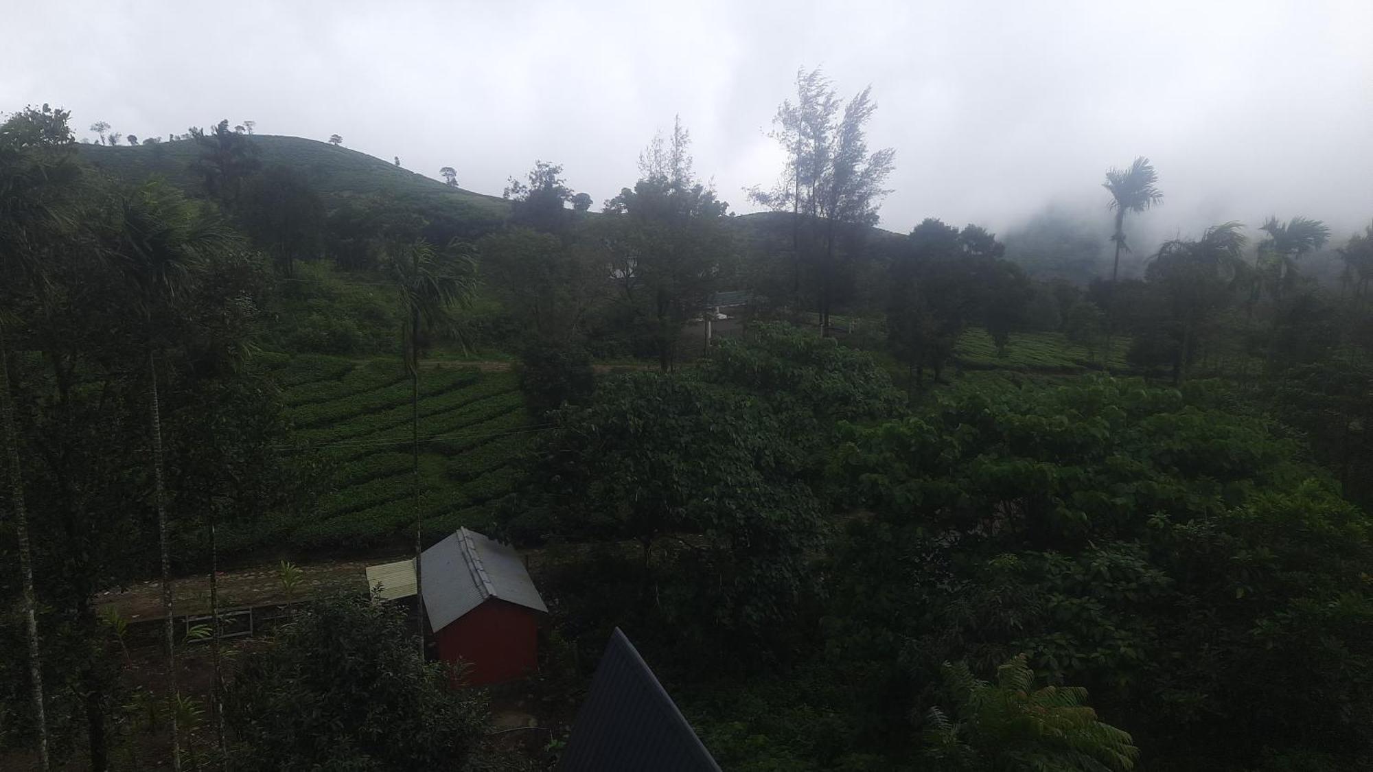 Paradise Meadows 瓦加蒙 外观 照片